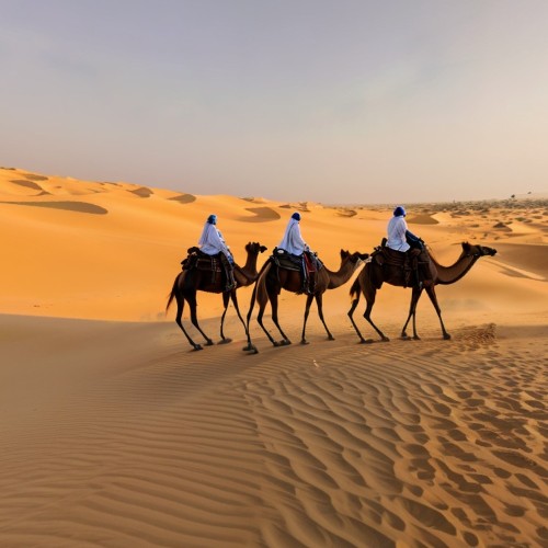 Desert Dunes in Dubai: Expansive sand dunes in the Dubai desert, with fine golden sand stretching as far as the eye can see. Tourists ride camels across the dunes at sunset, casting long shadows and adding a sense of adventure to the scene.